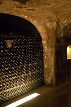 Cave à vin
